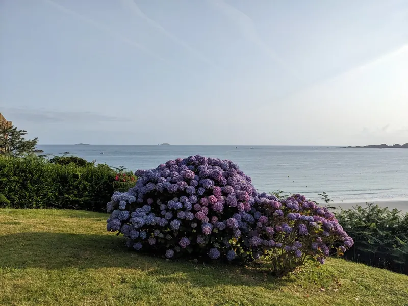 ¿Cuándo venir a la Côte de Granit Rose?